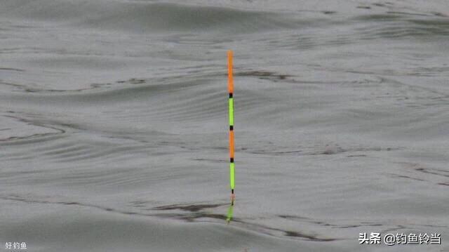 暴雨后怎么钓大鱼技巧,钓到大鱼注意什么细节问题