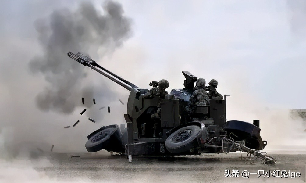 那些年给兔子整装备的西方国家「4」:瑞士