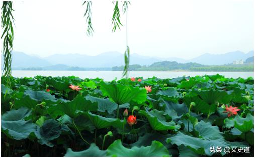 白居易最好的风景诗,白居易写西湖的诗有多少首