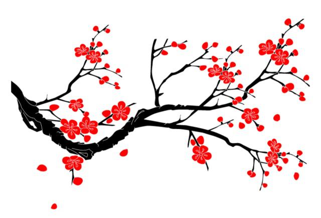 历史名花之争，你更喜欢哪种作为国花？