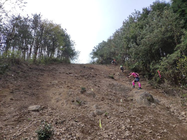 2020年江南100英里越野赛,江南100越野赛选手名单