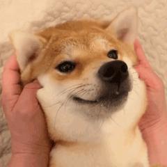 广州通行证过澳门续签最新规定,港澳通行证办理快签