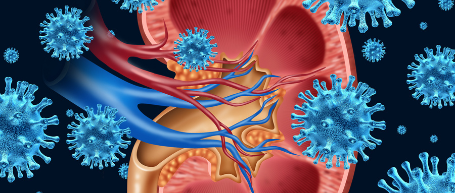 肿瘤细胞多大时会发生转移,肿瘤转移的过程和机制