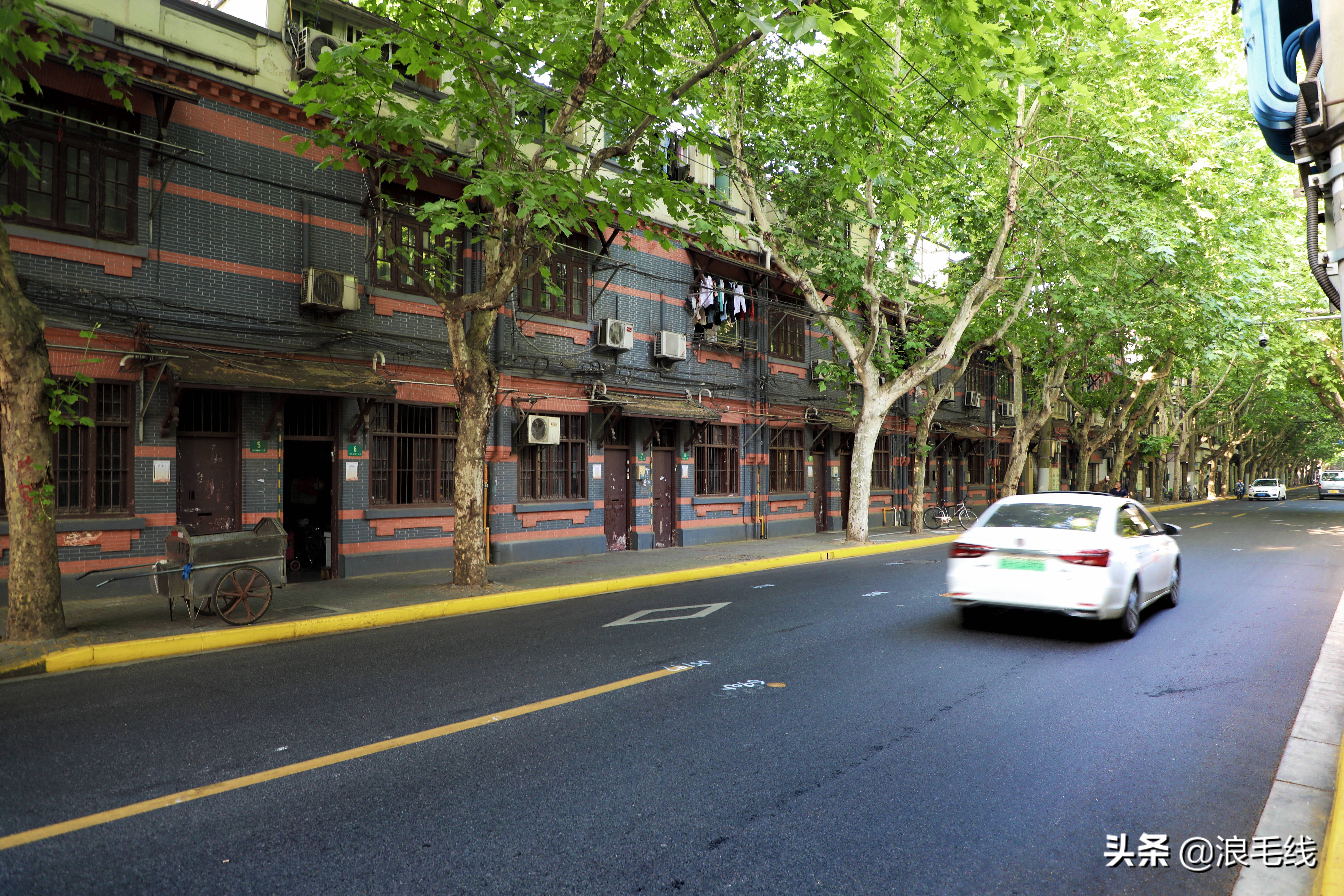 魔都端午有什么好玩的地方,上海魔都新玩法