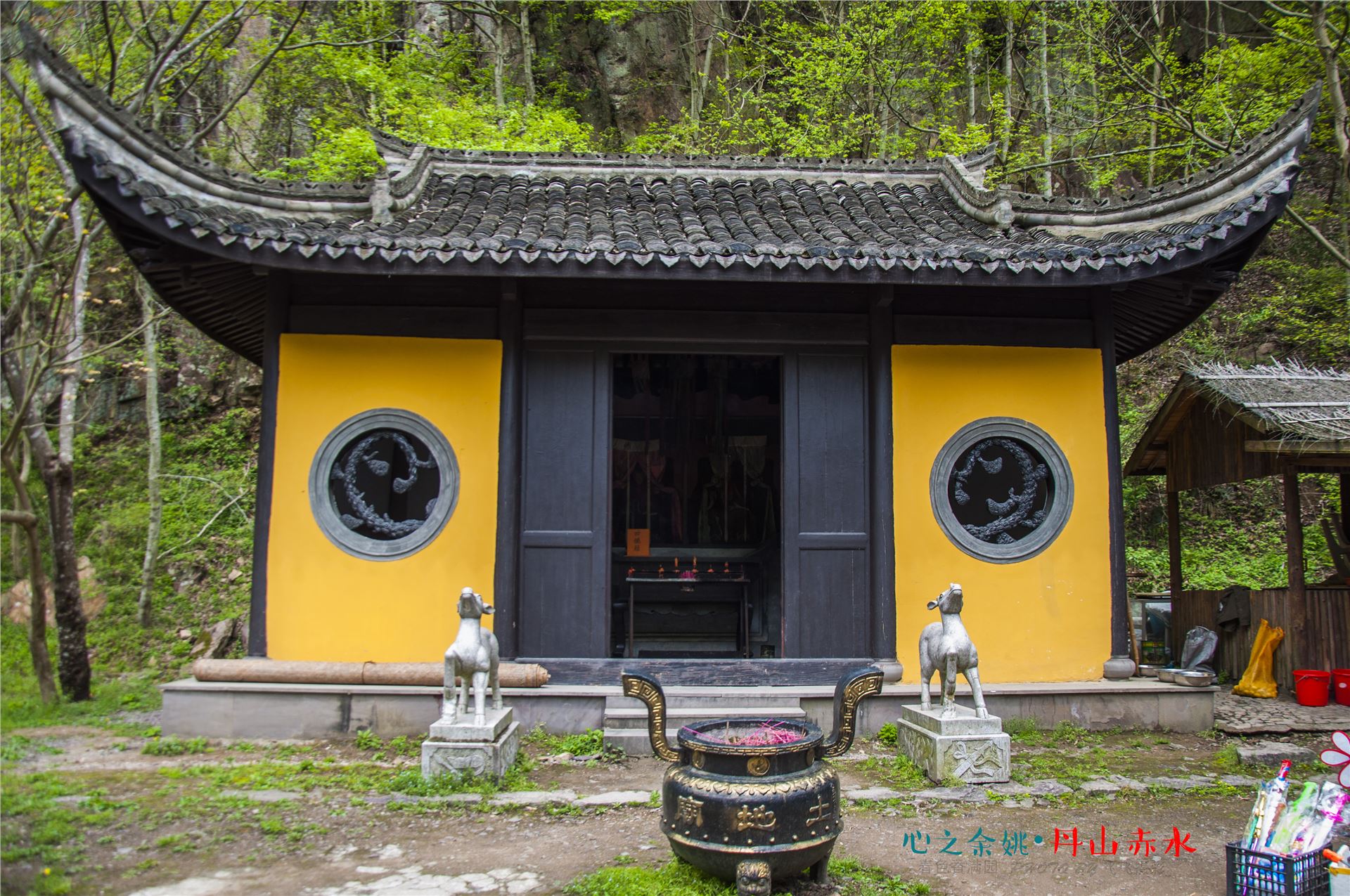 丹山赤水的老柿林景区,丹山赤水柿林古村