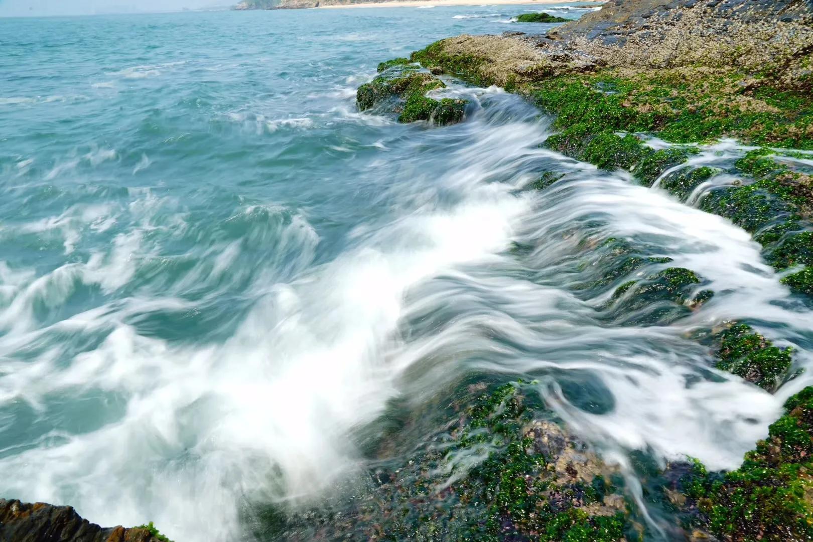 偌大的城市我的栖身之处在何处,偌大的城市容不下一个漂泊的灵魂