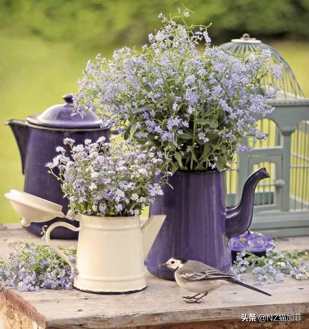 财富故事大全讲解,财富大有可为的小故事