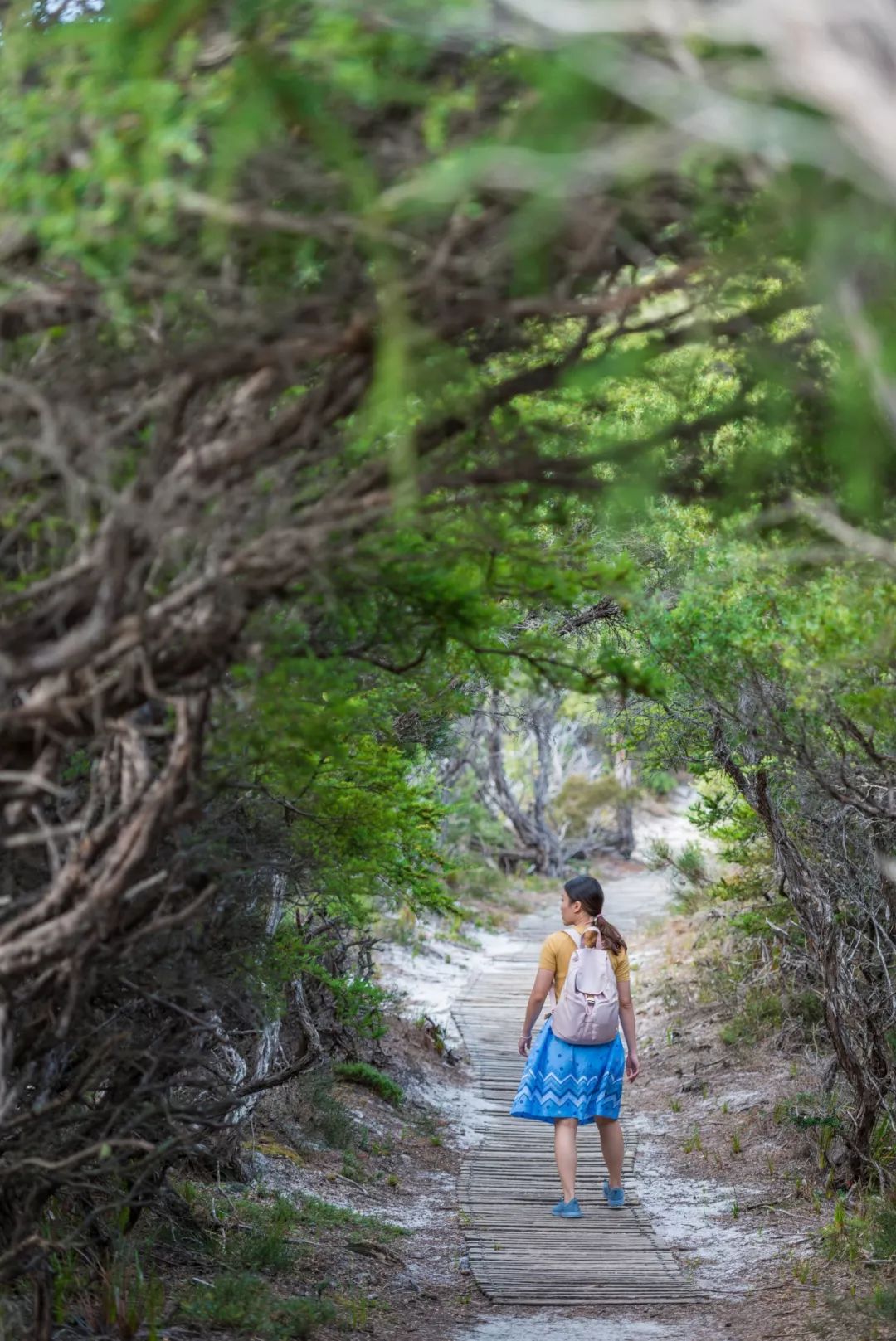 澳大利亚独特的自然风光,澳大利亚黄金海岸的美景