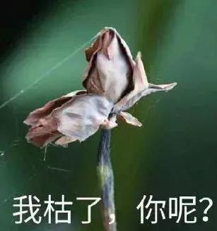 天津人喊男人叫叔叔,天津人叫哥叫爷