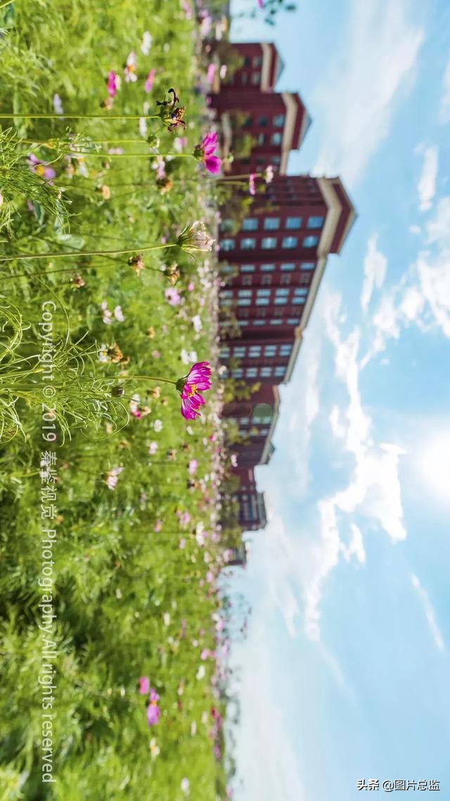 谈谈泾河新城,什么是泾河新城四纵三横