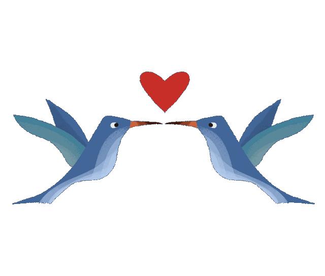 有决明子枕头发黄怎么洗小妙招,枕头顽固汗渍发黄怎么洗最有效