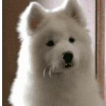 牙有点黄,牙有点黄用什么方法变白