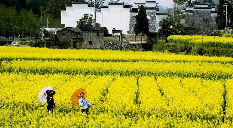 皖南旅游攻略自驾四日游最佳路线,皖南自驾游大环线攻略最佳线路