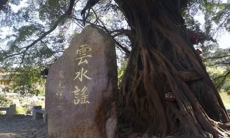 厦门攻略自由行3天云水谣,厦门自由行4晚5天花多少