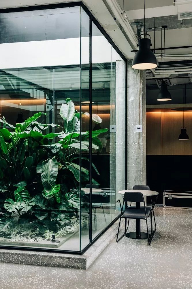 成都咖啡排名前十名,有趣的咖啡排名前十