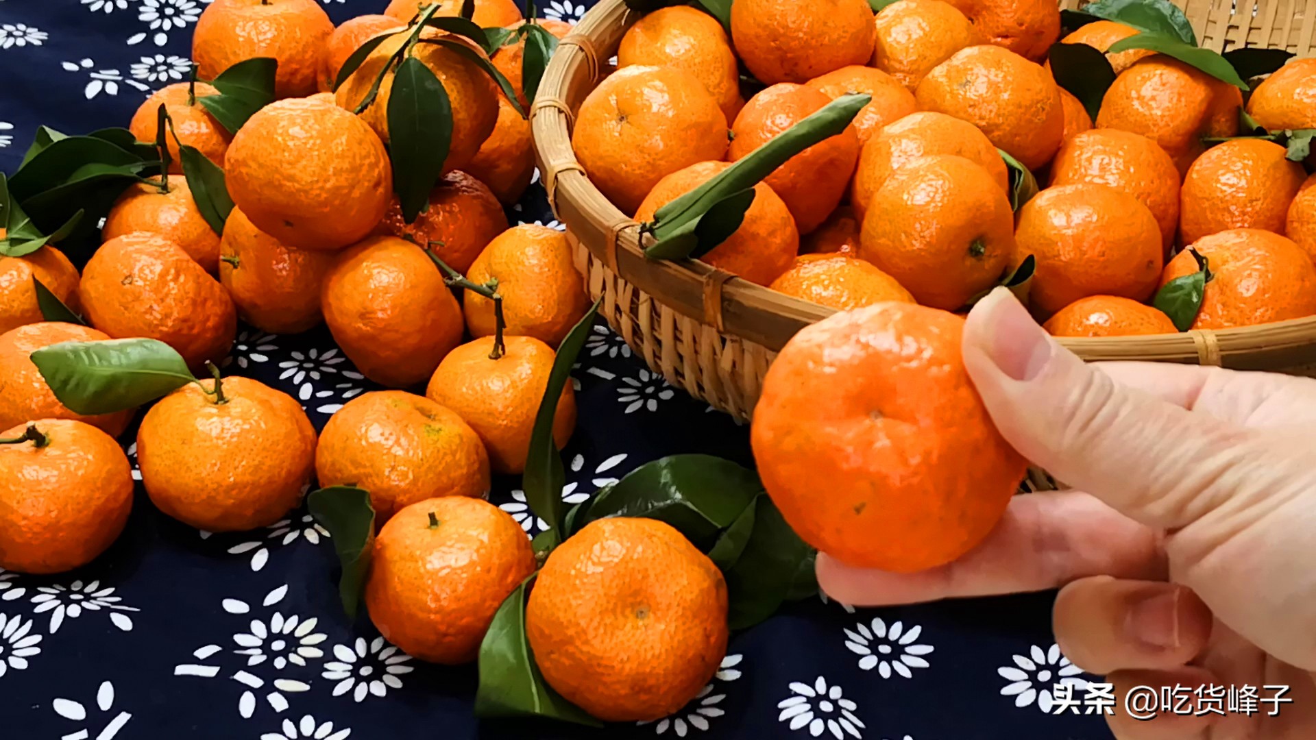 过年必备花生瓜子砂糖橘,过年吃沙糖桔代表什么
