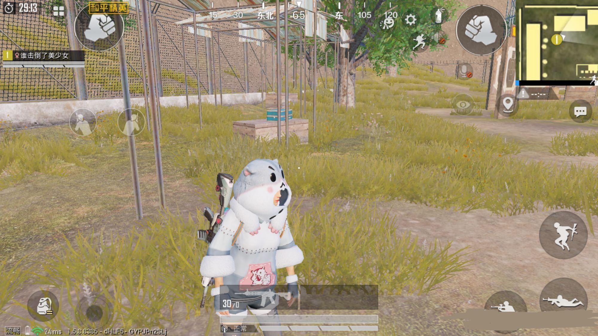 吃鸡仓鼠套装现在可以买吗,吃鸡仓鼠最新套装