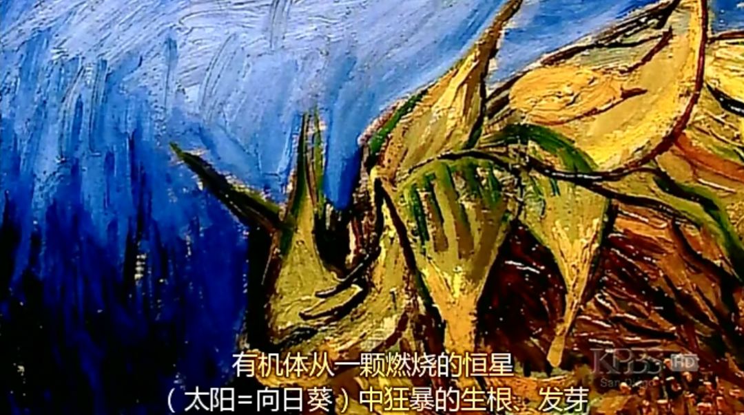 必看的6部高分艺术纪录片,6部高品质自然类纪录片推荐