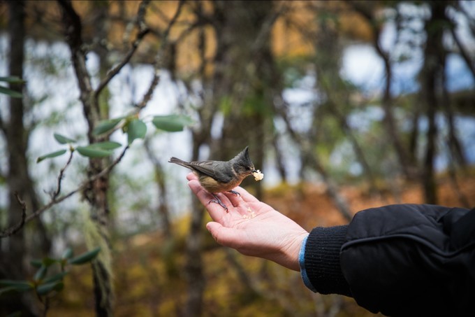 消失的地平线上的“香巴拉”和“女儿国”（二）