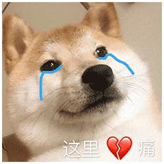 大同猪肉价格多少钱一斤,大同沃尔玛超市猪肉价