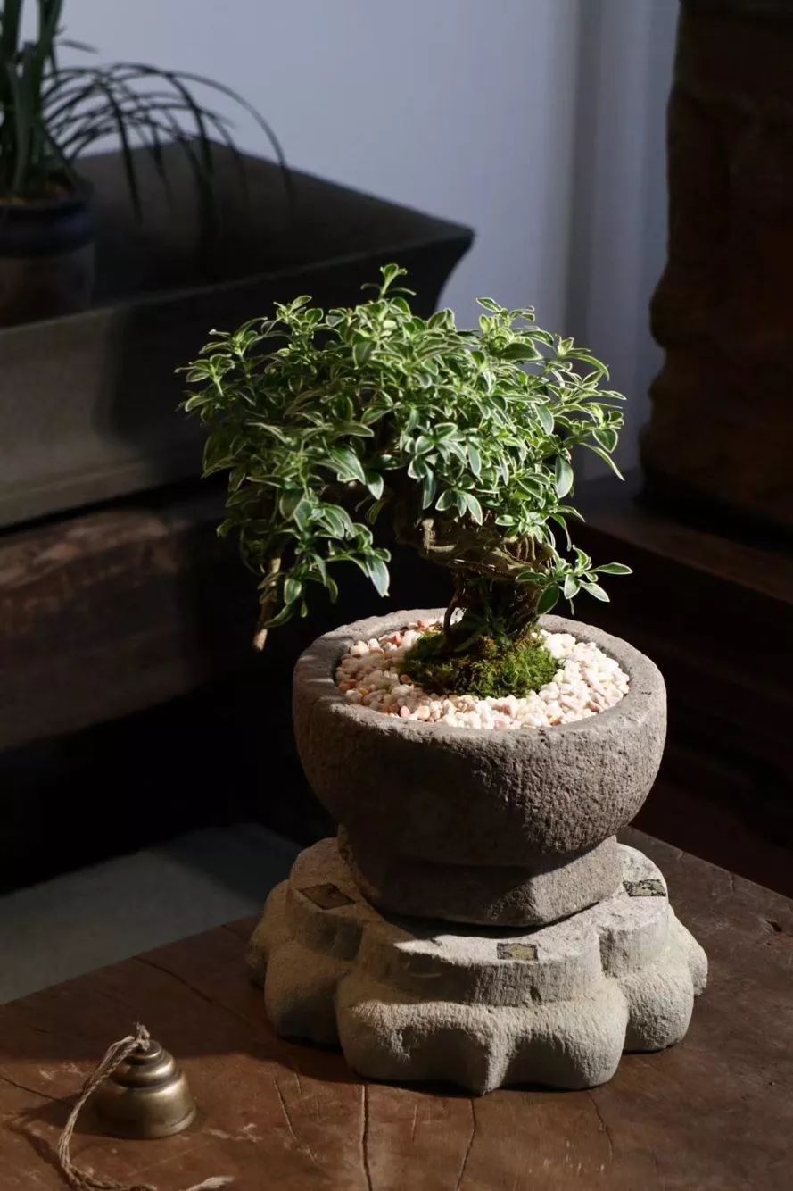 开古玩店的真实经历,开一家古玩店都需要什么