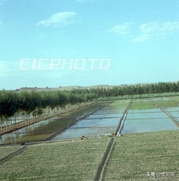 榆林市八十年代 (榆林市制革厂老照片)