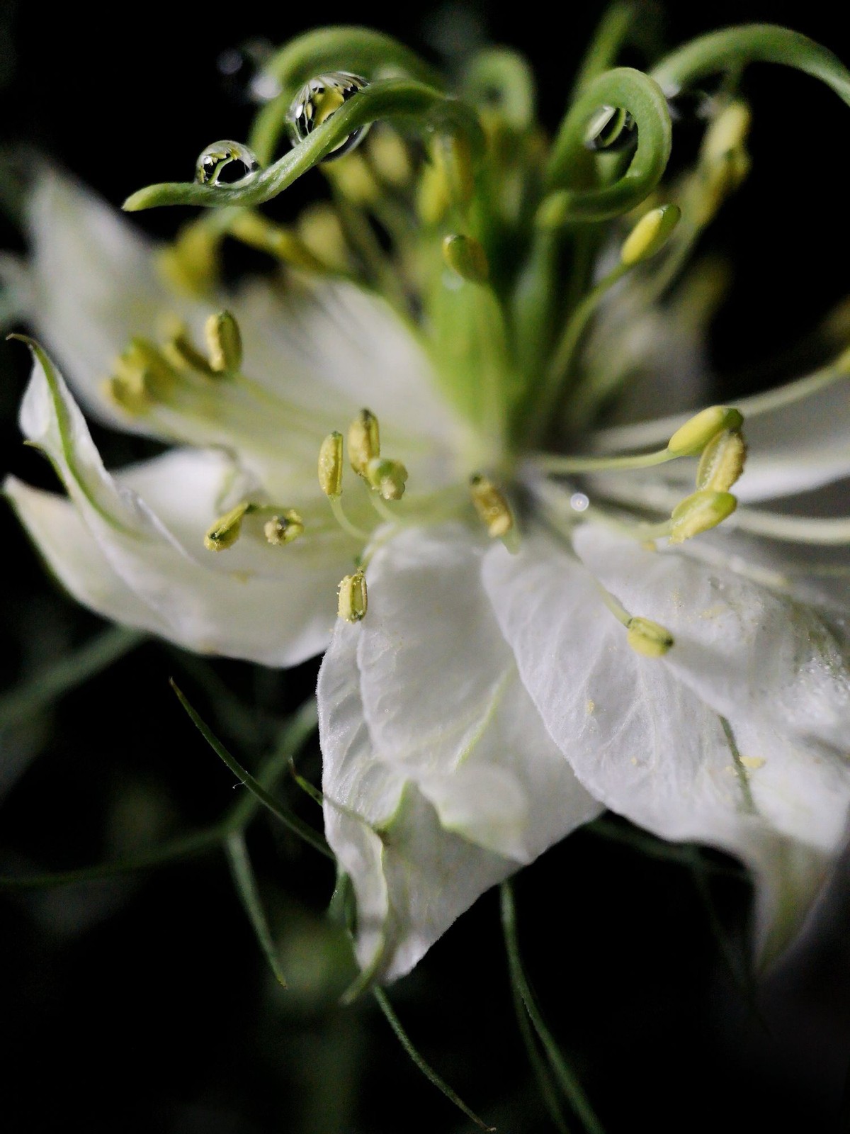 不争不抢却越过越好的星座,不争不抢心寡欲的星座