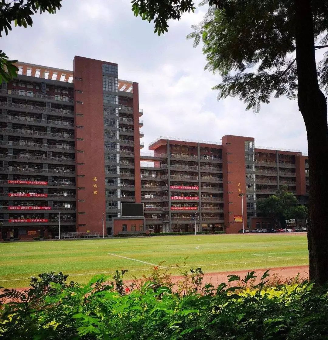 厦门小升初如何考上六中,厦门小升初如何进入好学校