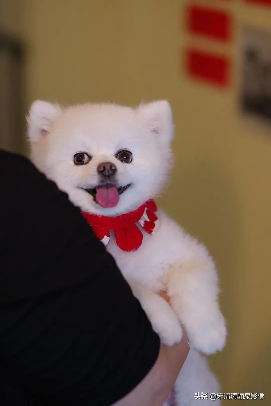 pentax十大经典相机,pentax好吗