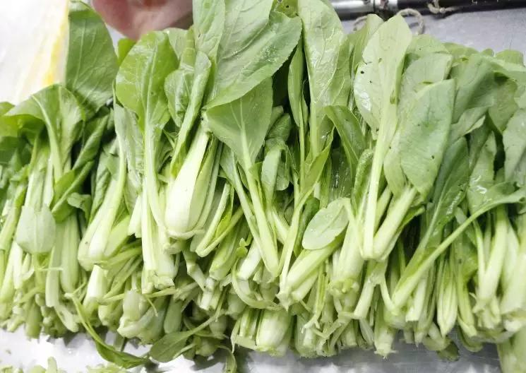 合肥疫情下的菜价行情,合肥蔬菜涨价原因