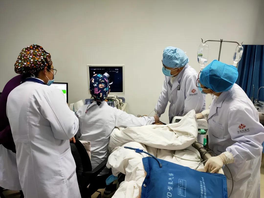 宝石花珊瑚盛开,宝石花刚活发现有花剑了