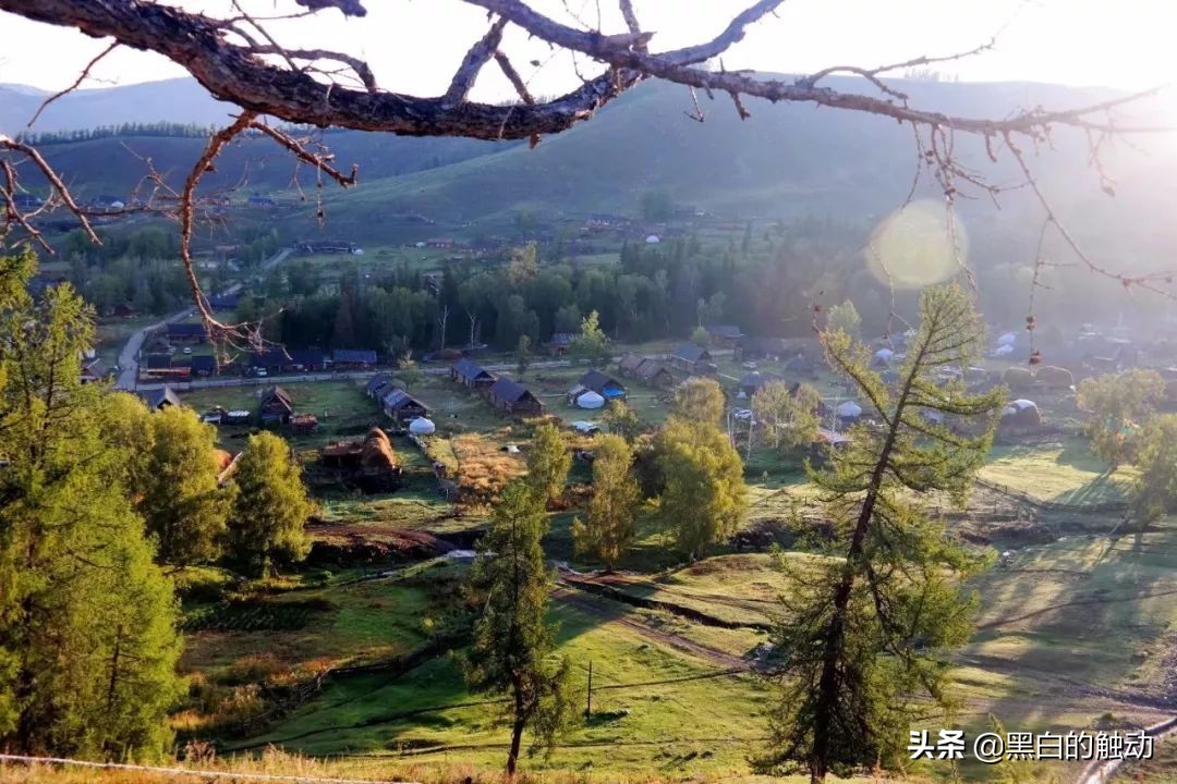 都说新疆好去新疆发展可靠么,都说新疆好地方