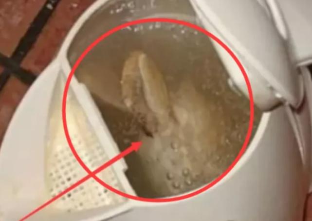 住酒店千万别碰这些玩意,住酒店这些不能碰冷知识