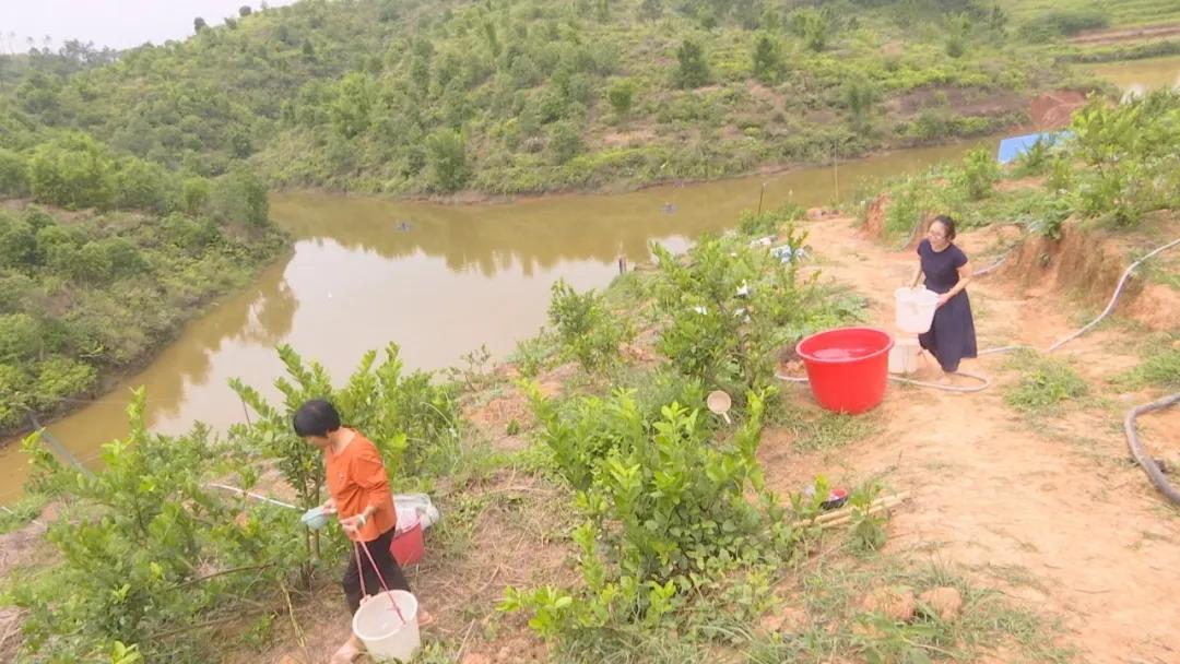 妇联创业资金,妇联扶持妇女创业基金项目洽谈