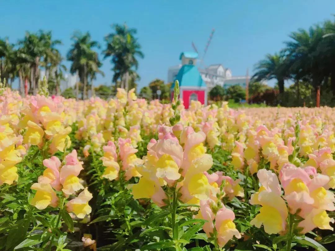 清明去哪儿玩|盘点那些值得打卡的北京周边小众景点！