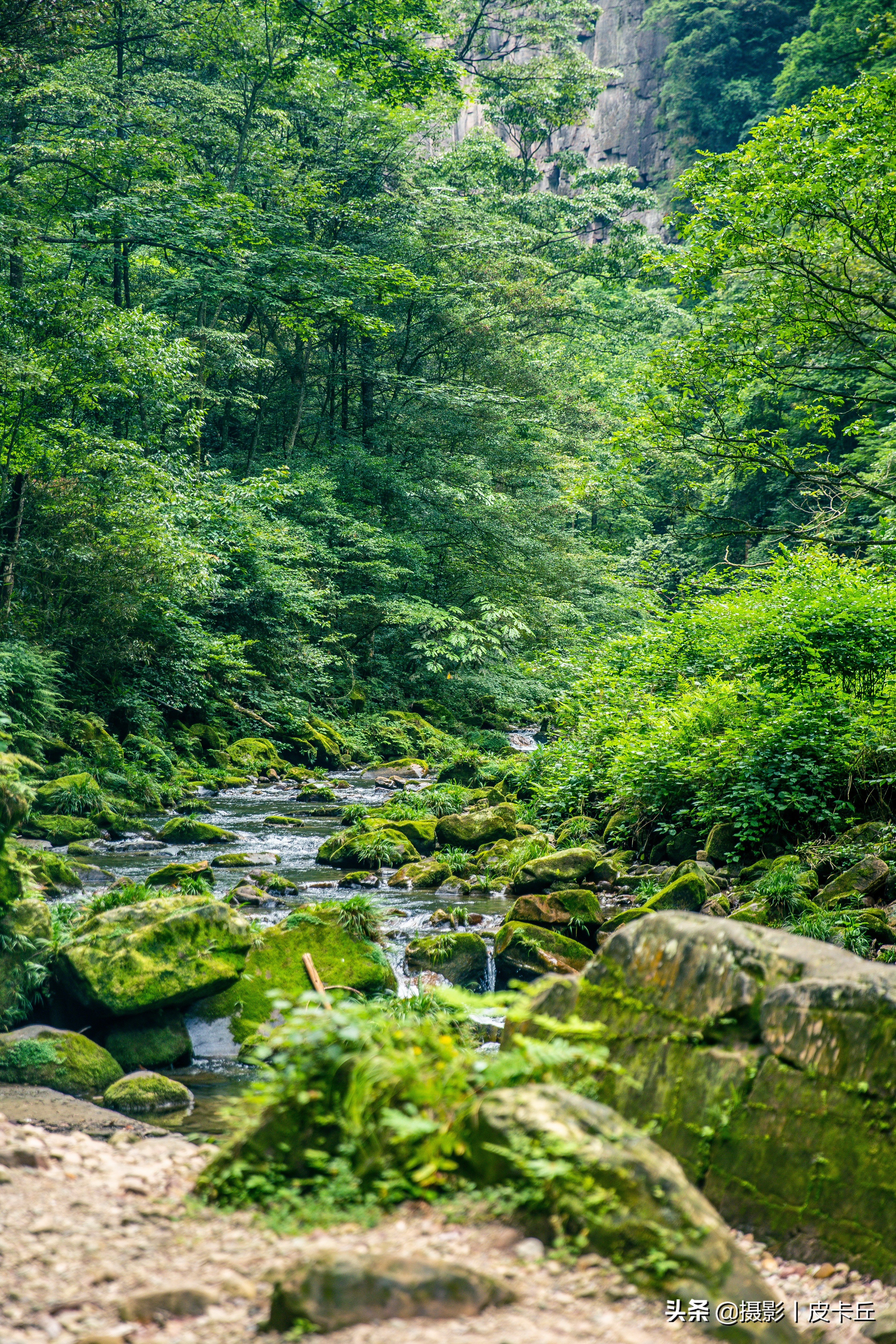 我的相机进水之后，官方授权维修店居然是这样维修的……