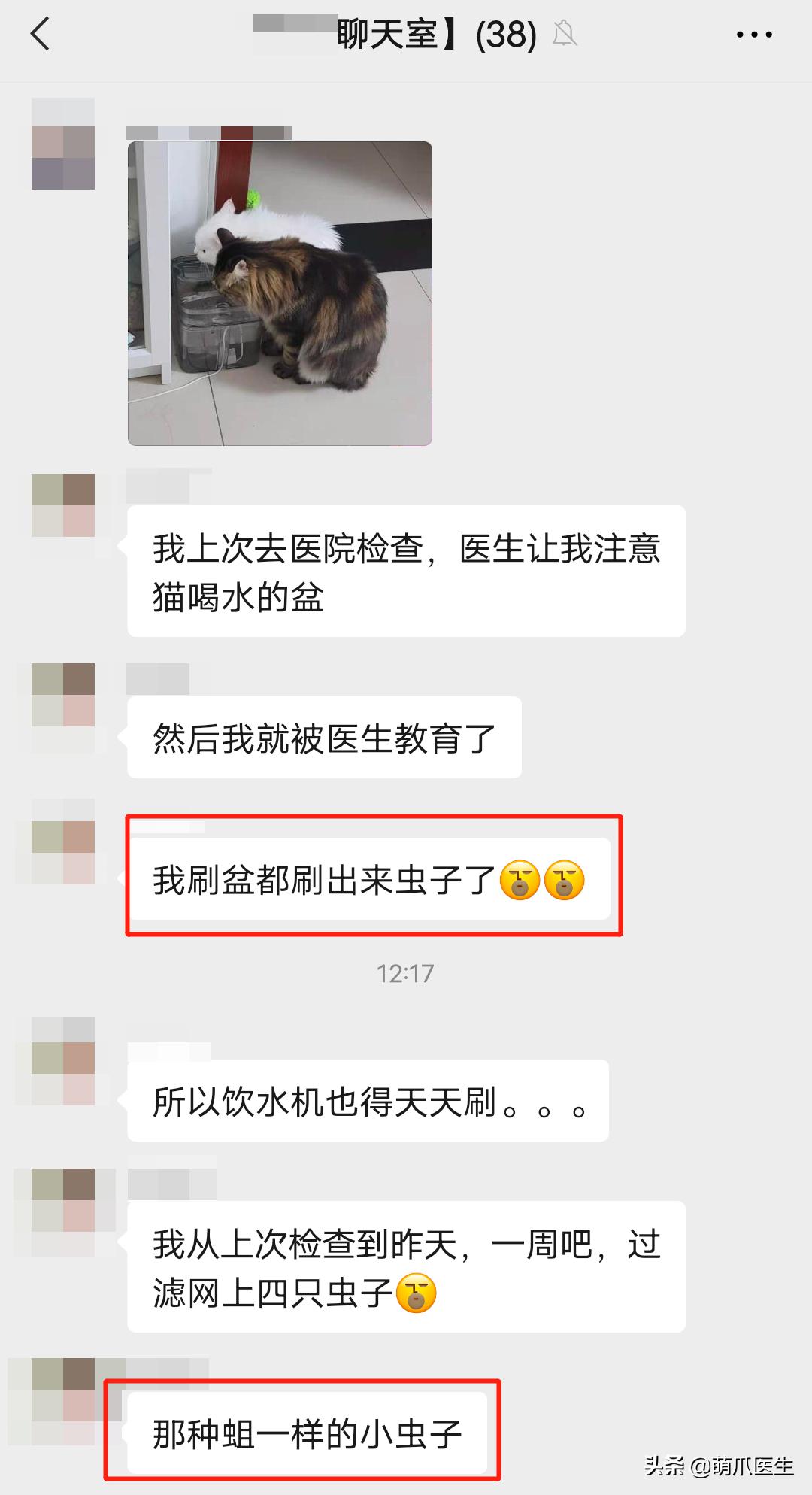 猫咪喝水碗里有红色蠕动虫子,猫咪喝水碗里有小黑虫