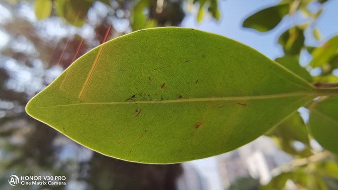 荣耀V30PRO详细评测：MatrixCamera相机矩阵开启5G视频时代