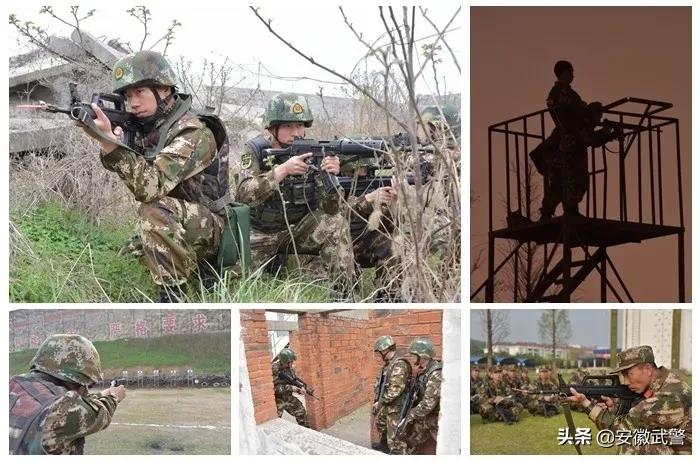 纪实视频,记实记录