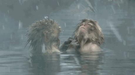 天津降温最快的地方,天津最近降温天气如何