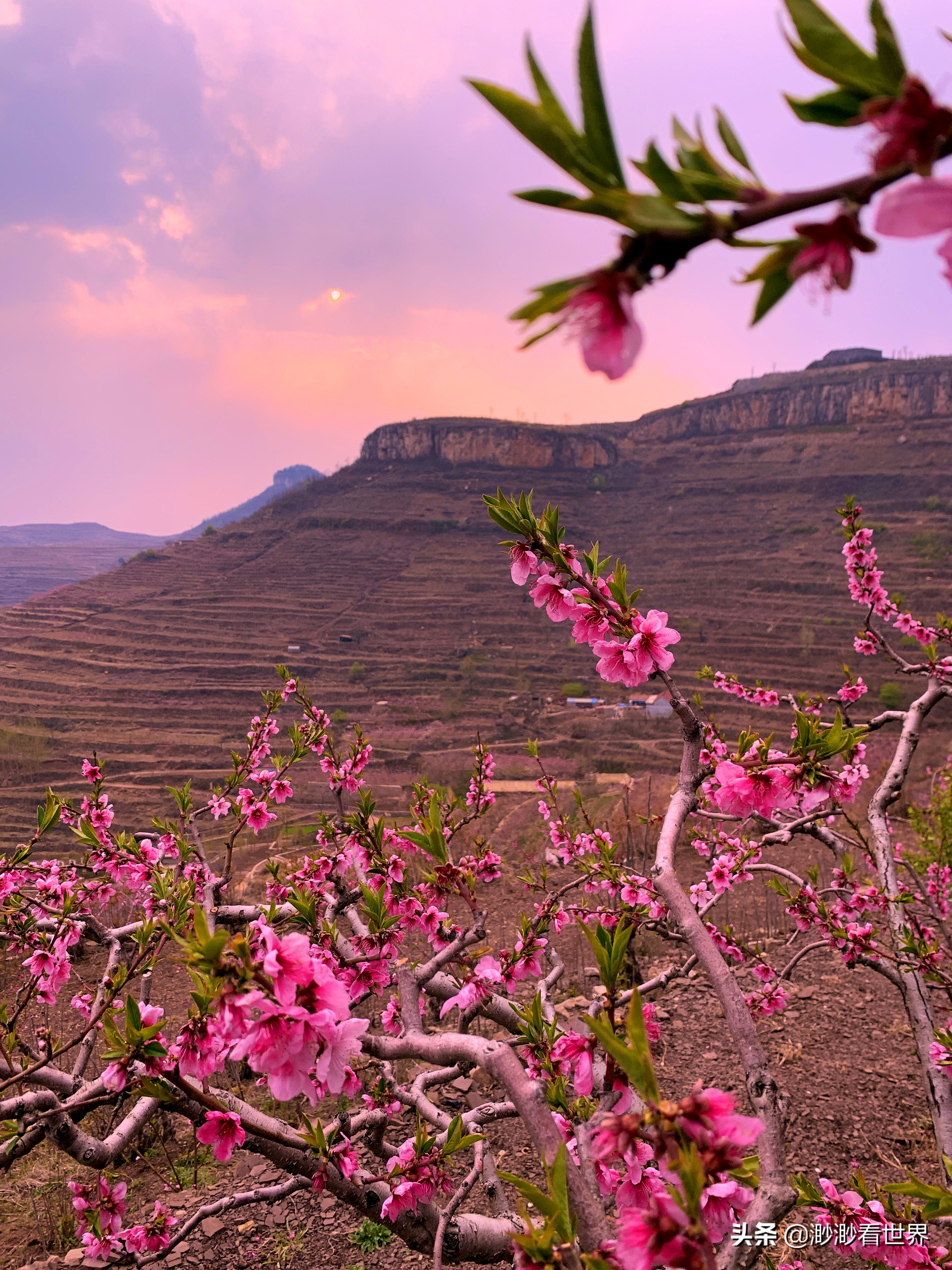探索蒙阴岱崮地貌旅游奇景,沂南县岱崮地貌