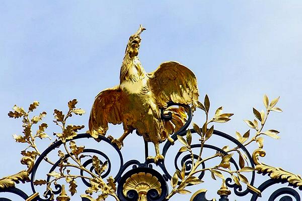 高卢雄鸡图片,高卢雄鸡是什么颜色