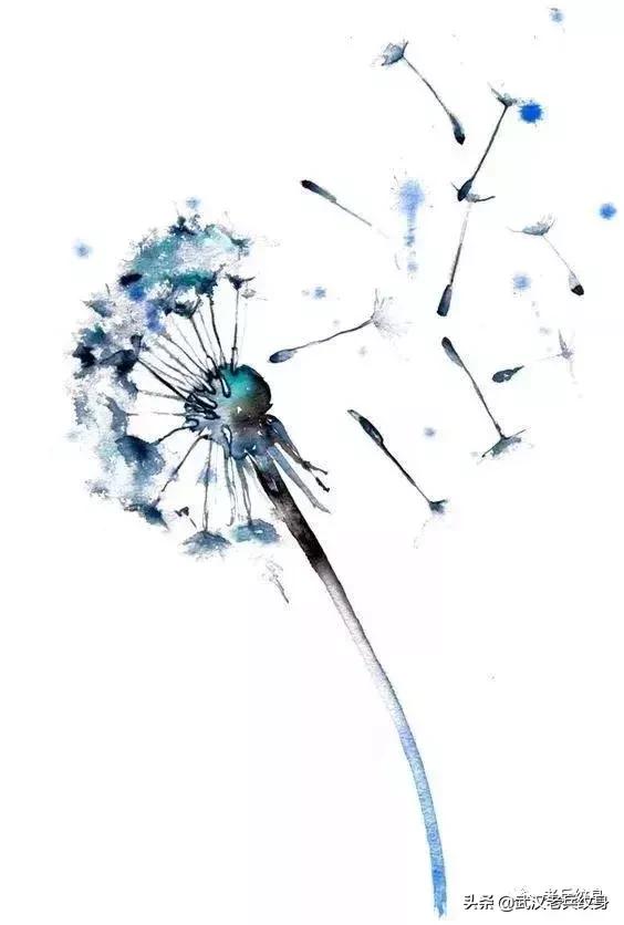 水墨凤凰纹身高清图,水墨纹身图案大全男