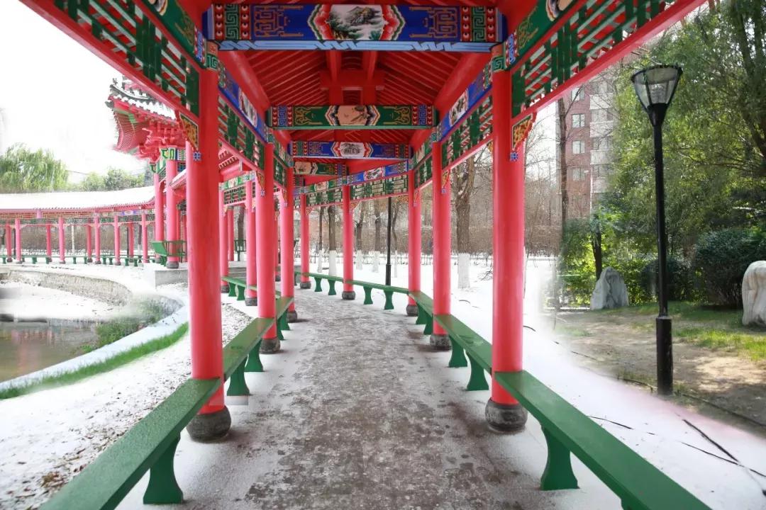 辽宁中医药大学杏林学院规模,辽宁中医学院杏林学院的排名