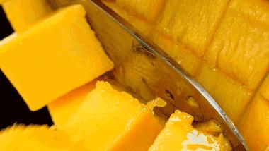 攀枝花芒果三月有得吃吗,攀枝花贵妃芒芒果好吃吗