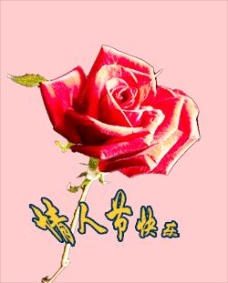 2020情人节祝福语大全2月14日情人节浪漫祝福语表情包