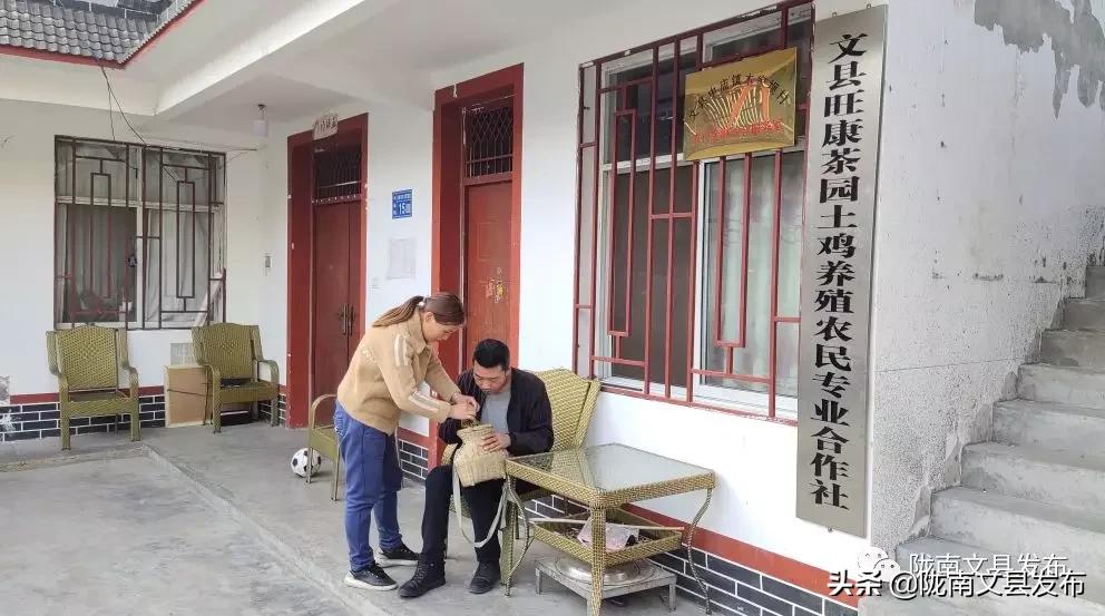 头条任波身残志坚托起创业梦,任波身残志坚托起创业梦完整版