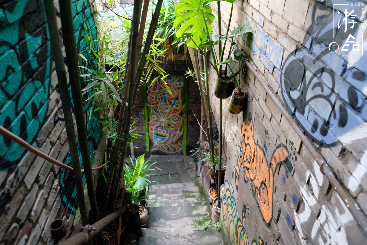 谁都逃不掉命运,谁都逃不掉的命运