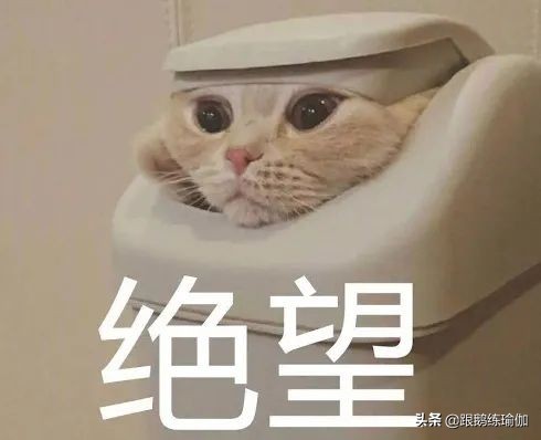 拜日a式注意要点,拜日式a完整版口令