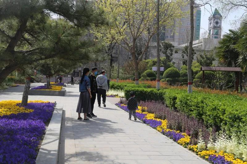 开封文化公园游玩攻略,开封森林公园有几处景点